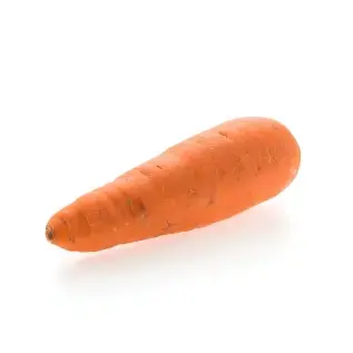 Fresh South African carrots imported by Alphimex Commodities