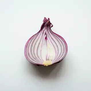 Onions imported by Alphimex Commodities