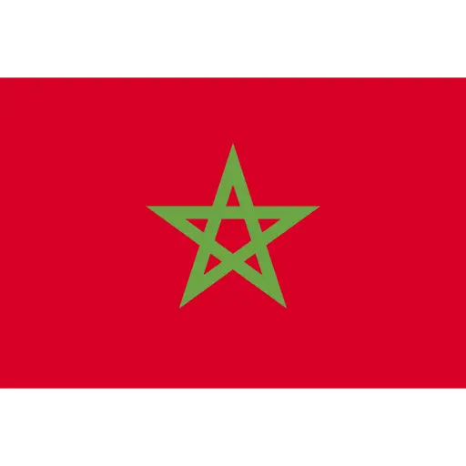 Alphimex Commodities imports fruit and vegetables from reputable Moroccan suppliers.